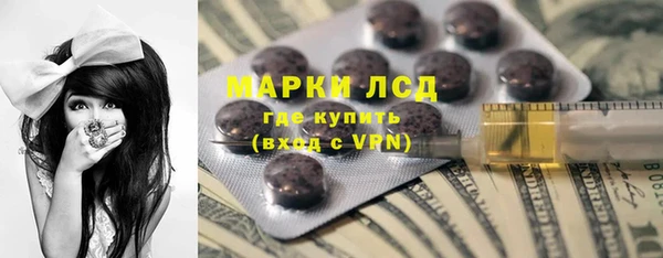 ECSTASY Горняк