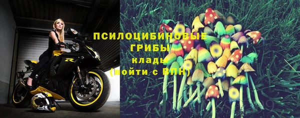 каннабис Вяземский