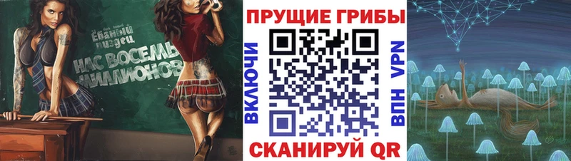 купить наркотик  Новочеркасск  Галлюциногенные грибы Psilocybe 