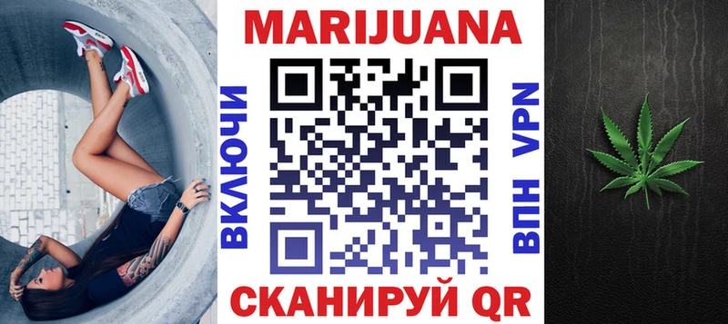 мега tor  как найти закладки  Новочеркасск  Канабис конопля 